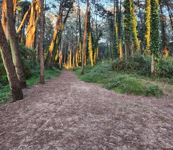 Playa San Juan 1 דירה